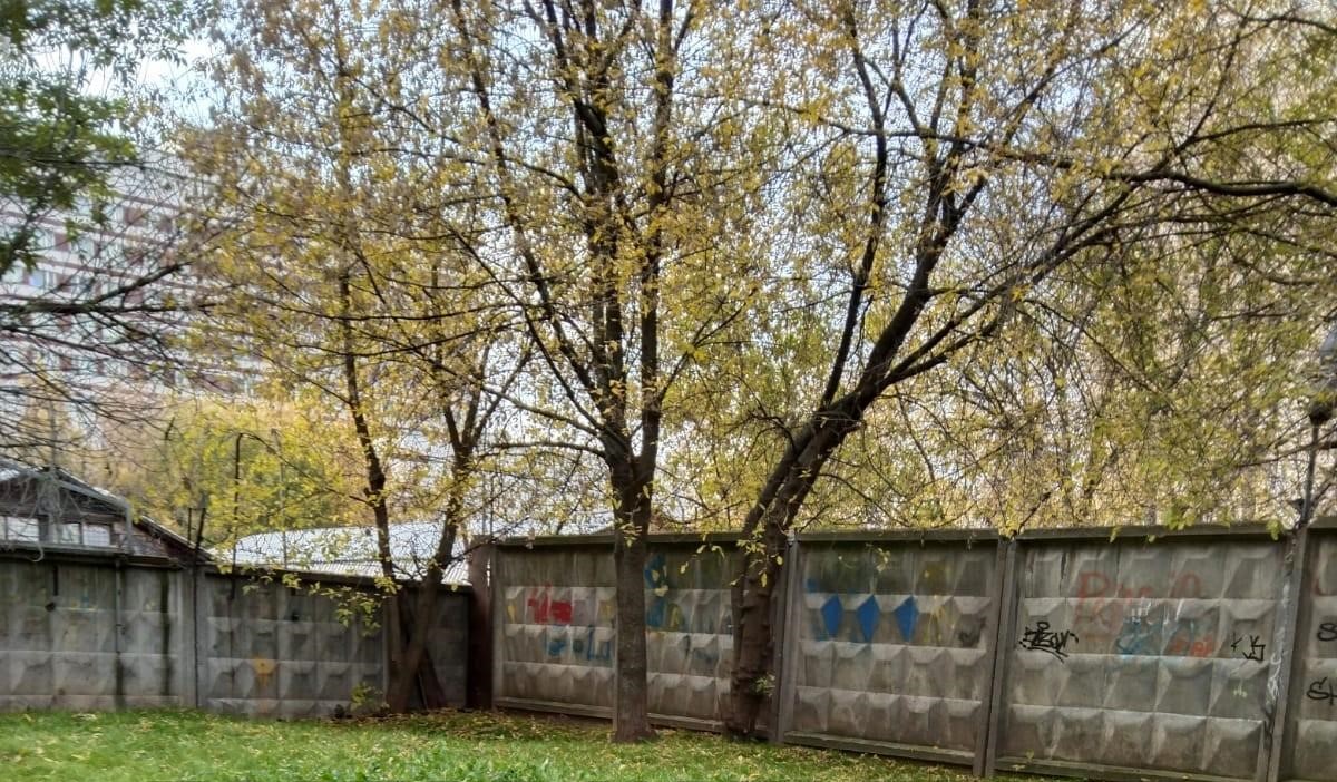 Во дворе на Ленской убрали мусор по просьбе жителей