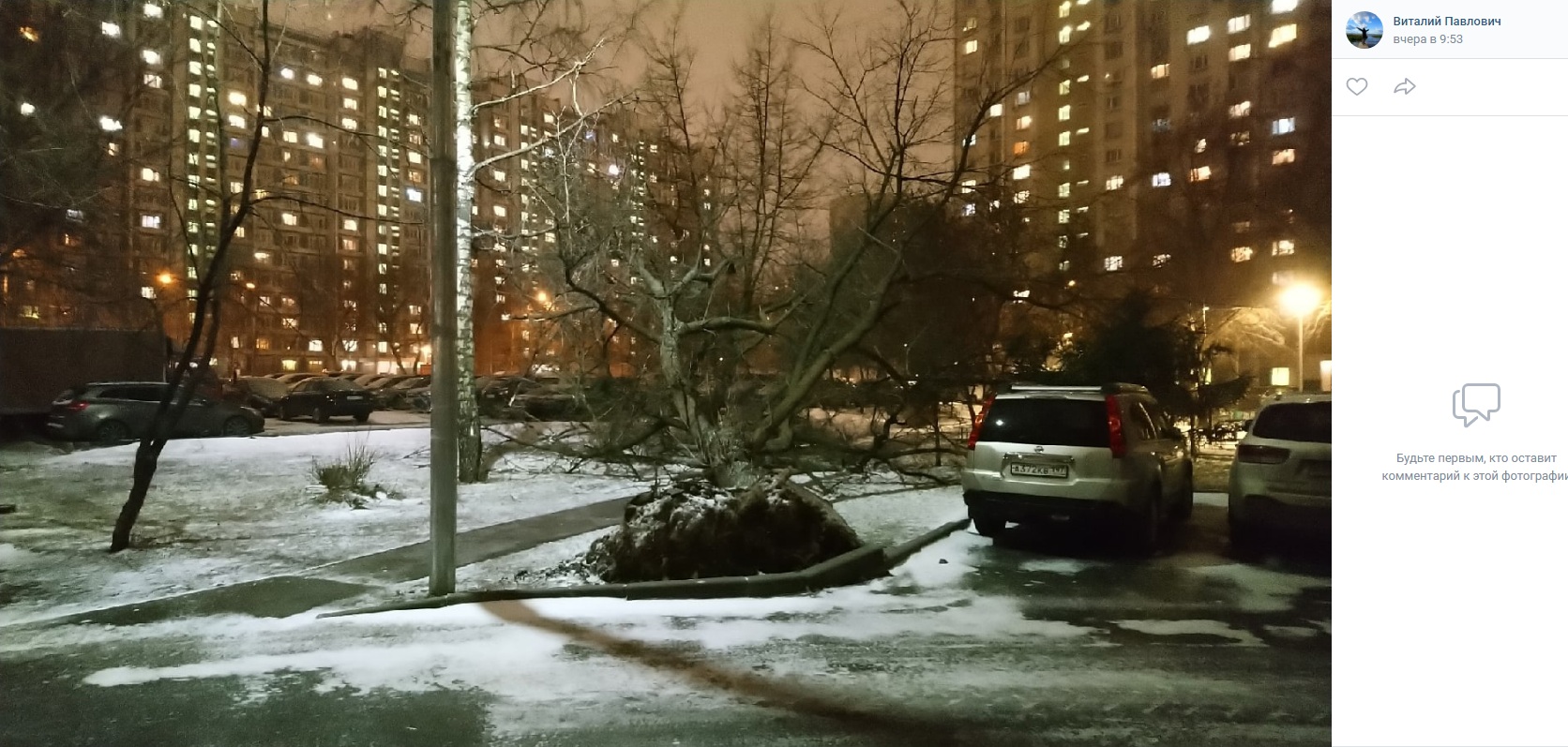 Во дворе на Ленской распилили упавшее дерево